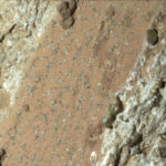 Une image d'un rocher sur Mars prise par le rover Perseverance de la NASA. Des rayures blanches rocheuses flanquent une zone de couleur argile parsemée de taches sombres.