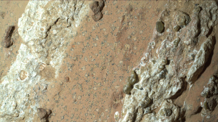 Une image d'un rocher sur Mars prise par le rover Perseverance de la NASA. Des rayures blanches rocheuses flanquent une zone de couleur argile parsemée de taches sombres.