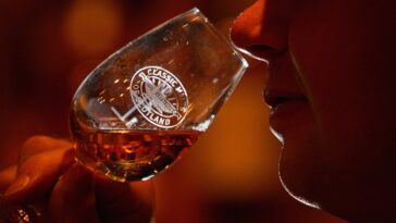 L'IA détecte les notes aromatiques du whisky ainsi que les avantages