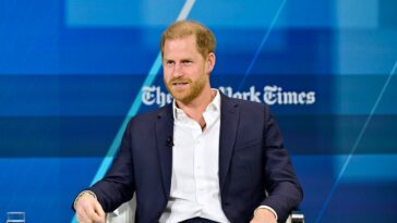 Le prince Harry dit qu'il se sent désolé pour « les trolls » qui inventent des rumeurs de divorce à son sujet et avec Meghan Markle