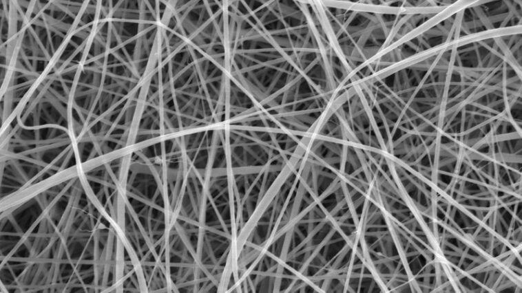 Les nanofibres féculentes brisent le record des pâtes les plus fines au monde