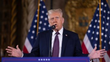 Donald Trump, Elon Musk et MrBeast : la ruée de dernière minute pour sauver TikTok