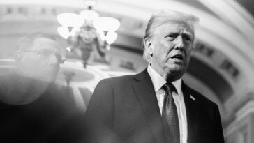 « Je n'ai rien fait de mal » : dans les coulisses de la condamnation de Donald Trump pour Hush Money