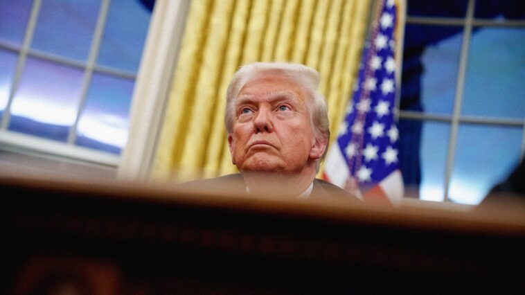 Donald Trump, UnitedHealthcare et les «méchants» d'une économie brisée