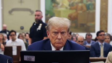 Trump fait allusion que les lois ne s'appliquent pas à lui s'il «sauve» le pays