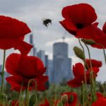 À Rome, les pourparlers pour protéger la biodiversité de la Terre avec de l'argent en tête de l'ordre du jour À Rome, les pourparlers pour protéger la biodiversité de la Terre avec de l'argent en tête de l'ordre du jour