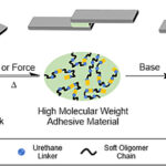 Bouteilles en plastique plus faciles à recycler avec une nouvelle colle dégichable