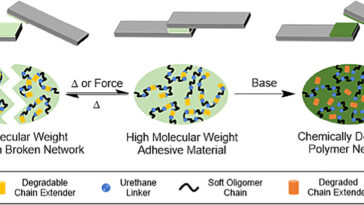 Bouteilles en plastique plus faciles à recycler avec une nouvelle colle dégichable