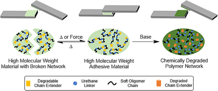 Bouteilles en plastique plus faciles à recycler avec une nouvelle colle dégichable