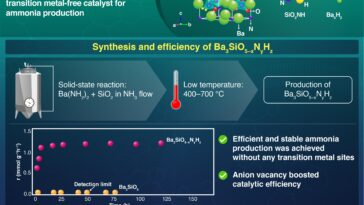Catalyseur sans métal de transition promet une synthèse d'ammoniac plus verte et efficace
