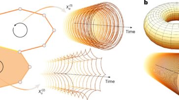 Comment la topologie stimule la complexité du cerveau, du climat et de l'IA