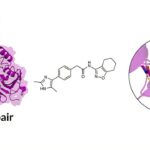 Conception de médicament basée sur des fragments: les nouvelles méthodes recherchent à travers 10 molécules de sexillions