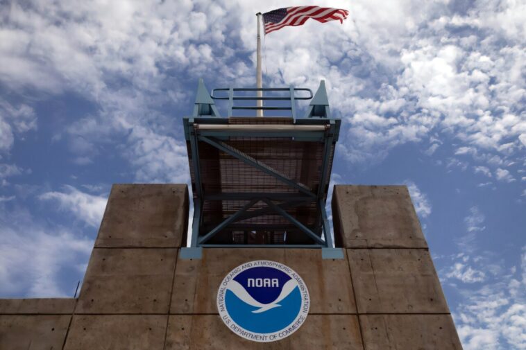 Des centaines de feu