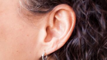 Des oreilles Wiggling nous ont peut-être aidés à entendre
