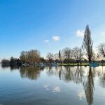 Étude de la Tamise River: le changement climatique limite les efforts de nettoyage en accélérant la croissance des algues Étude de la Tamise River: le changement climatique limite les efforts de nettoyage en accélérant la croissance des algues