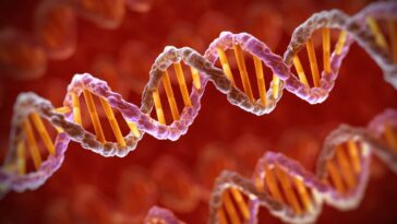 L'IA peut décoder les données numériques stockées dans l'ADN en quelques minutes au lieu de jours