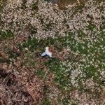 L'ONU Nature parle dans Last Sprint pour casser l'impasse du fonds