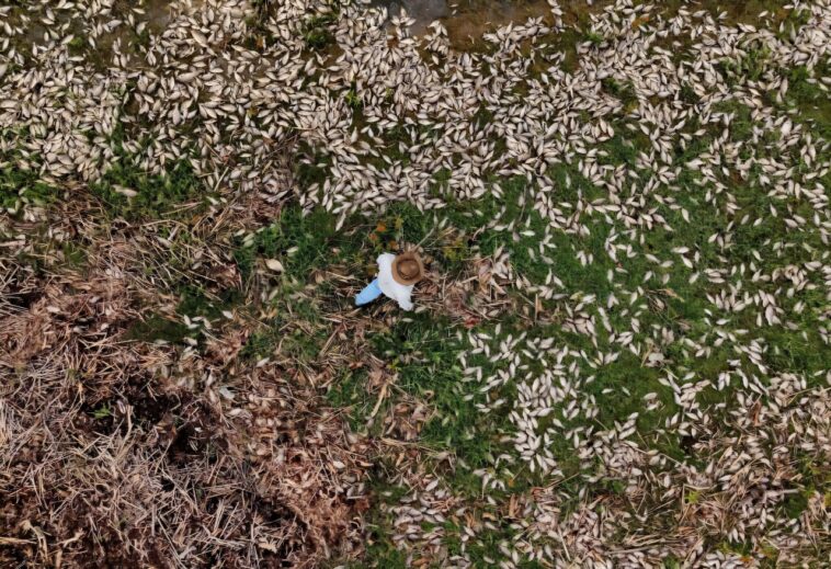 L'ONU Nature parle dans Last Sprint pour casser l'impasse du fonds