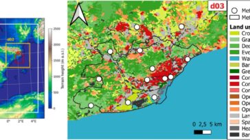 L'amélioration de la distribution des espaces verts à Barcelone pourrait empêcher 178 décès prématurés chaque année, explique l'étude