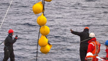 L'analyse des données à long terme invite à repenser les différences régionales dans la séquestration du carbone océanique