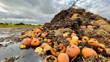 L'hydrogène neutre en carbone peut être produit à partir des déchets agricoles