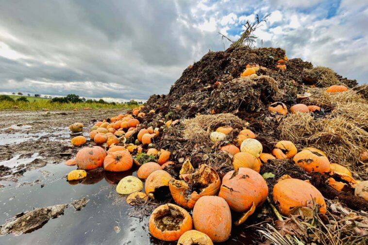 L'hydrogène neutre en carbone peut être produit à partir des déchets agricoles