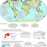 L'outil de prévision de nouvelle génération pourrait offrir un avertissement précoce pour les éruptions volcaniques L'outil de prévision de nouvelle génération pourrait offrir un avertissement précoce pour les éruptions volcaniques
