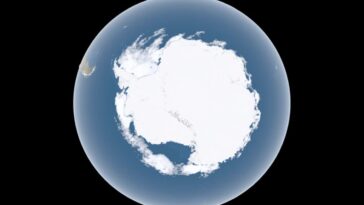 Antarctic daily sea ice Jan 1st 2024