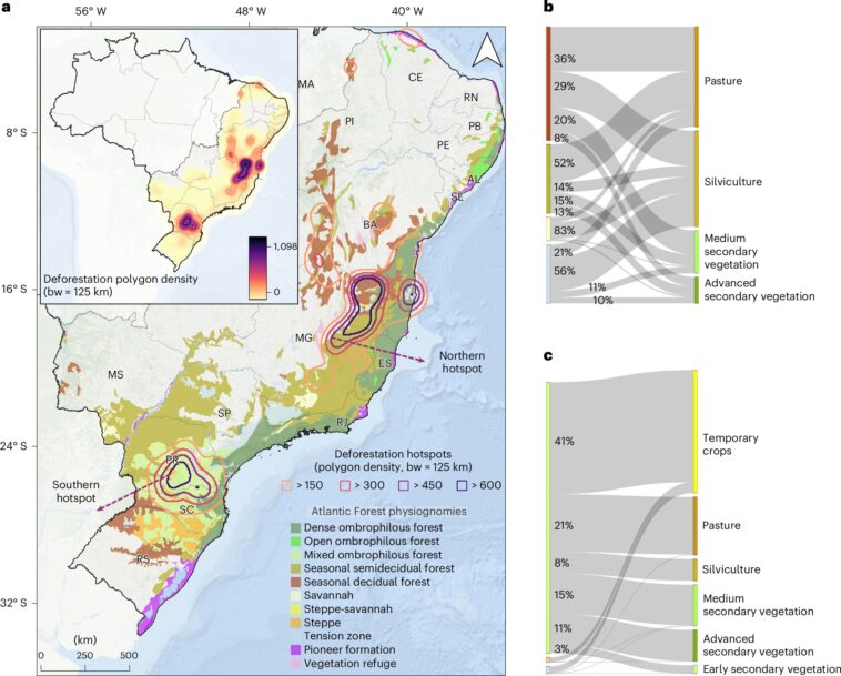 La coupe illégale a conduit à la déforestation dans certaines parties des forêts tropicales côtières du Brésil La coupe illégale a conduit à la déforestation dans certaines parties des forêts tropicales côtières du Brésil