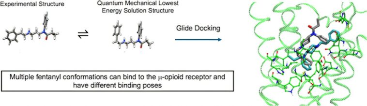 La mécanique quantique et la dynamique moléculaire révèlent des complexités de liaison aux opioïdes