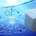 La photosynthèse artificielle convertit les déchets organiques en pharmaceutiques et énergie utiles La photosynthèse artificielle convertit les déchets organiques en pharmaceutiques et énergie utiles