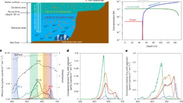 La simulation révèle que la Terre ancienne avait des océans verts