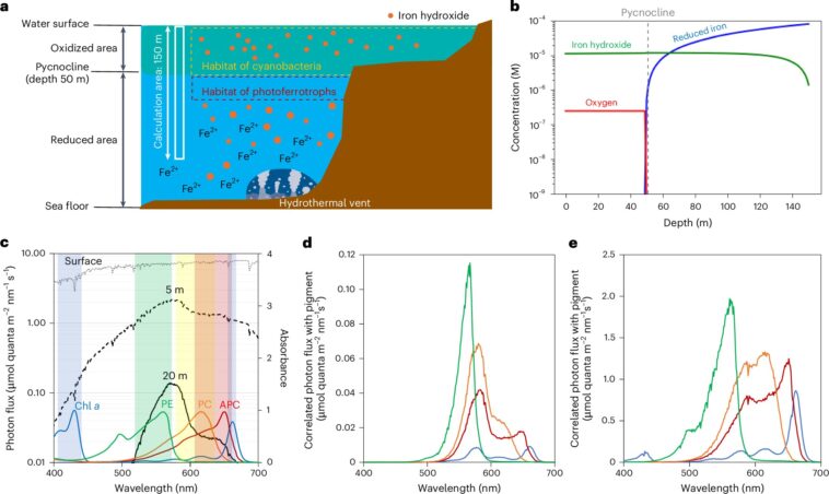 La simulation révèle que la Terre ancienne avait des océans verts