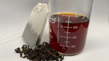 Le brassage du thé réduit les métaux lourds toxiques dans l