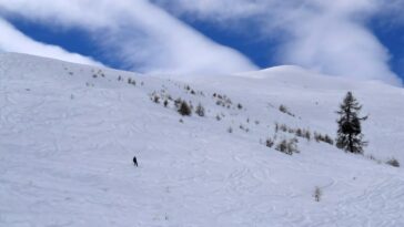 Le Parlement français vote pour interdire certaines utilisations des «produits chimiques pour toujours»