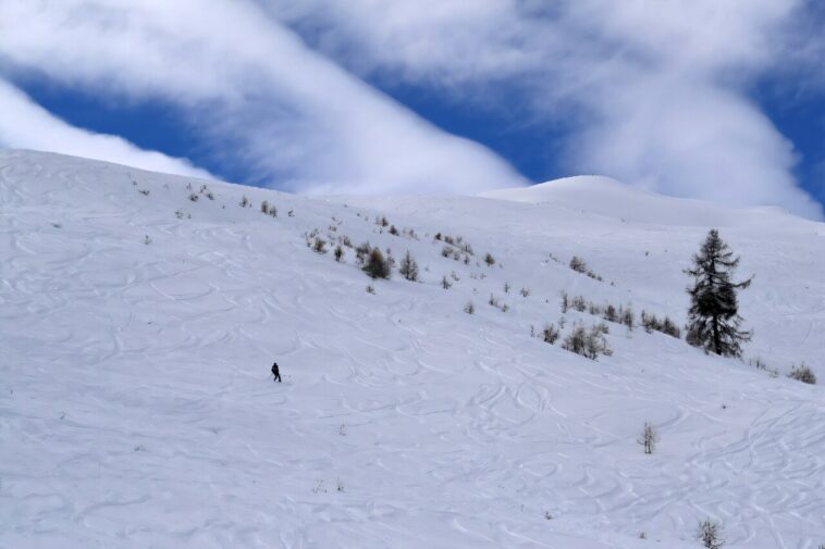 Le Parlement français vote pour interdire certaines utilisations des «produits chimiques pour toujours» Le Parlement français vote pour interdire certaines utilisations des «produits chimiques pour toujours»