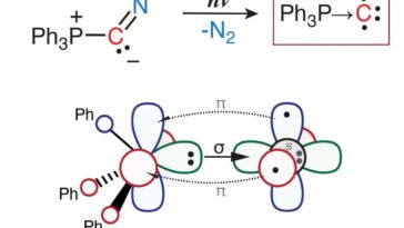 Le composé de carbone monovalent exotique dispose de liaison unique avec un groupe de phosphore