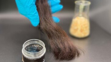 Le conditionneur de cheveux en bois est noir et malodorant, mais respectueux de l'environnement
