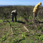 Le modèle hybride relie les micro et macro échelles dans des systèmes complexes