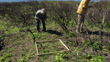 Le modèle hybride relie les micro et macro échelles dans des systèmes complexes