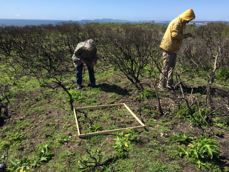 Le modèle hybride relie les micro et macro échelles dans des systèmes complexes