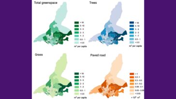 Le système d'IA est avec précision des espaces verts urbains, exposant les divisions environnementales