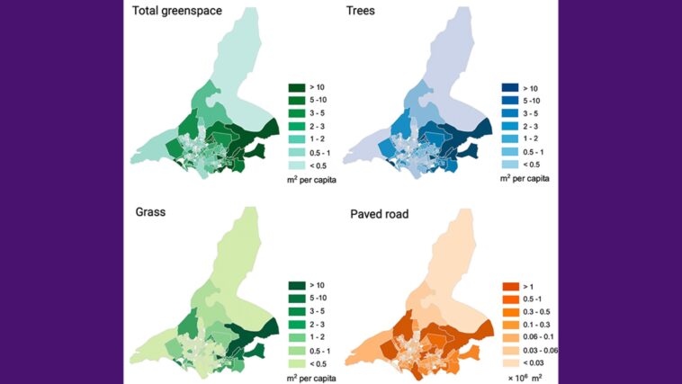 Le système d'IA est avec précision des espaces verts urbains, exposant les divisions environnementales