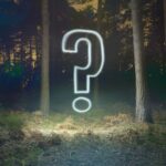 F20J3E Glowing question mark symbol in forest at night