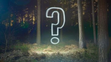 F20J3E Glowing question mark symbol in forest at night