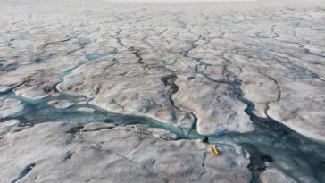 Les algues sombres pourraient accélérer la fusion de la calotte glaciaire du Groenland