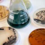 Les colorants fabriqués par les microbes pourraient réduire l'impact environnemental des vêtements
