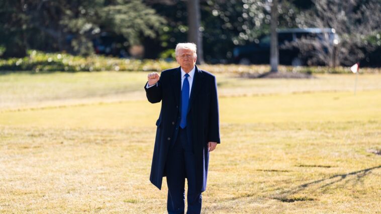 Les «concepts» de Donald Trump d'un plan de santé: faites payer ses électeurs