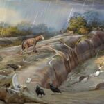 Les créatures géantes en forme de chameau vivaient des milliers d'années de plus qu'une fois