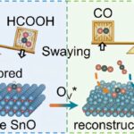 Les électrocatalyseurs à base de SNO révèlent des informations clés sur la réduction du CO₂